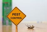 Affordable Eco-Friendly Pest Control: Safe and Natural Solutions for Your Home